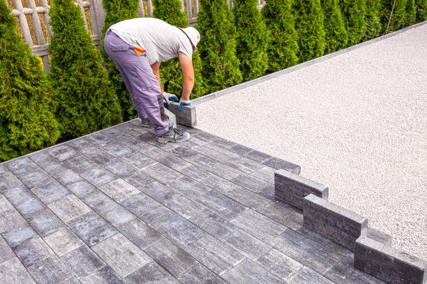 Best Driveway Paving Contractor  in Winona, MS